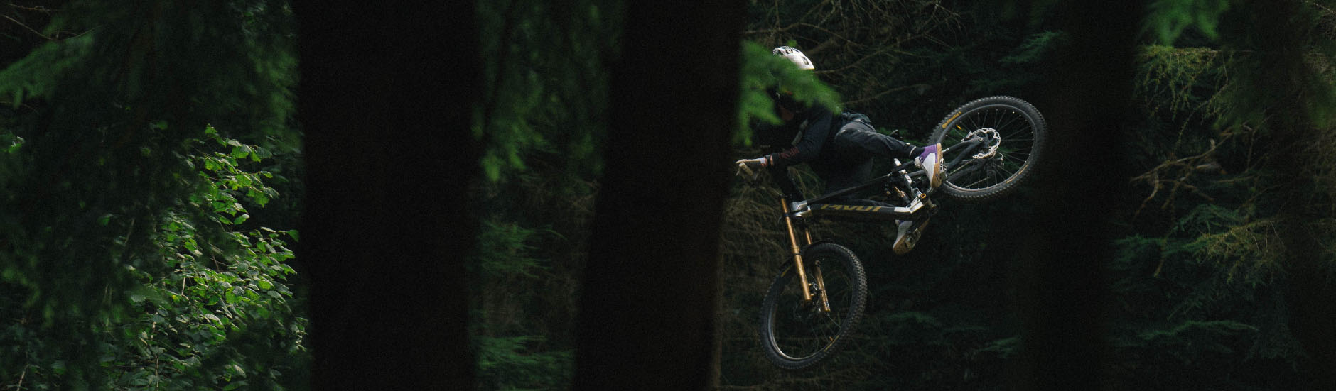 Bicicletas Repuestos Tienda -Bicicletas Repuestos Tienda DFDFG